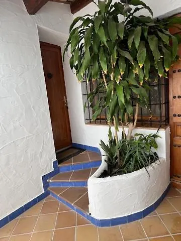 Alba * 엘 캄펠로